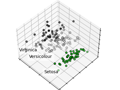 plot pca iris